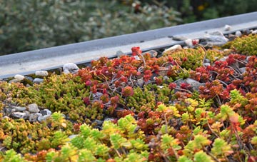 the cost of Relugas green roof installation