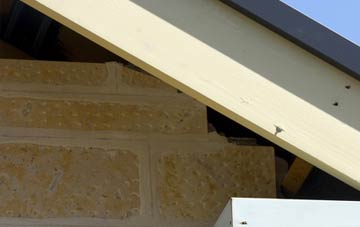 soffit repair Relugas