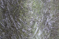 Relugas fibreglass roof work