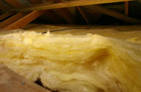 Relugas pitch roof insulation