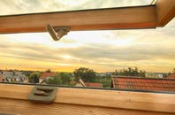 rated Relugas roof window companies